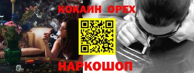 сатива Новокубанск