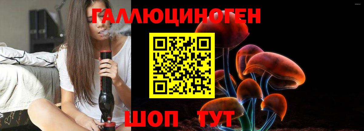 Псилоцибиновые грибы MAGIC MUSHROOMS  Вход с VPN  Таганрог 
